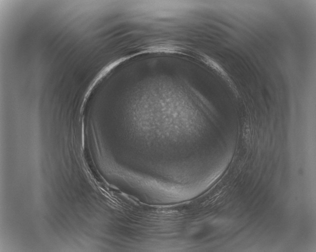 X0000054371323200508262331