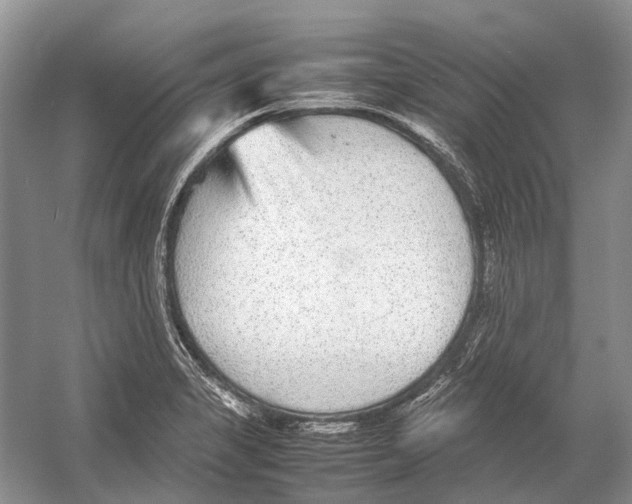 X0000054371325200508262331