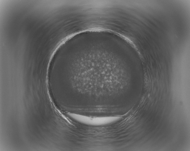 X0000054371327200508262331