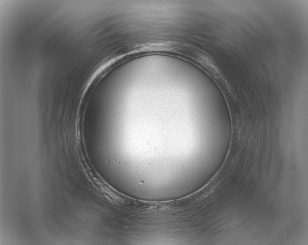 X0000054371328200508262331