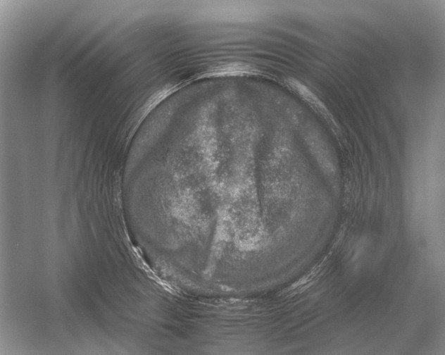 X0000054371329200508262331