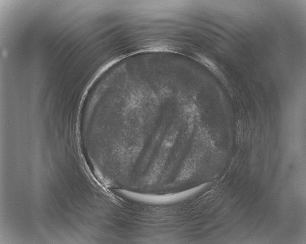 X0000054371331200508262331