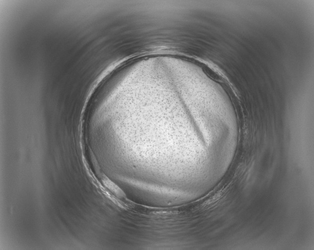 X0000054371333200508262331