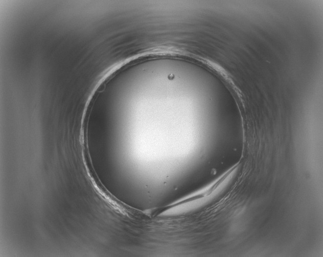 X0000054371335200508262331