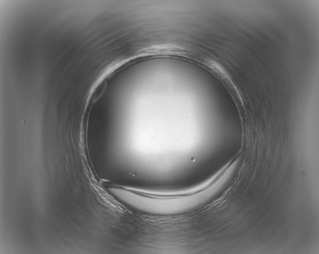 X0000054371336200508262331