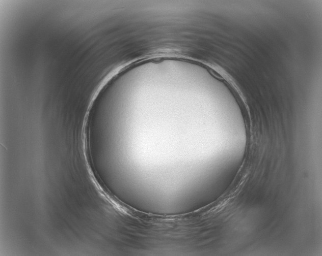 X0000054371341200508262331