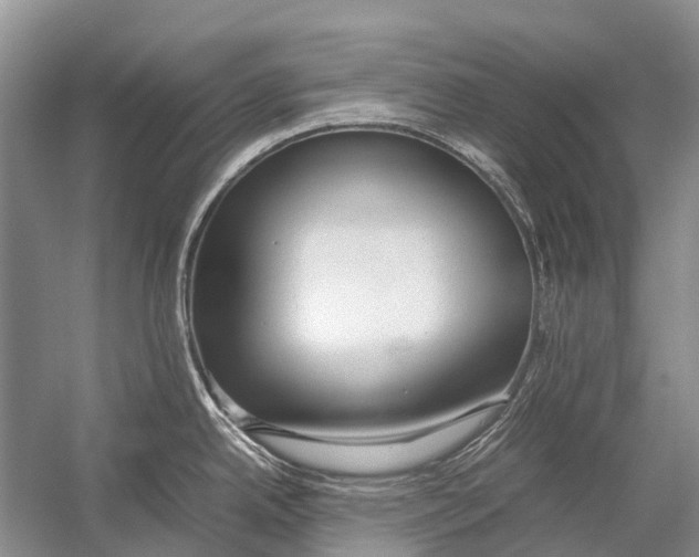 X0000054371342200508262331