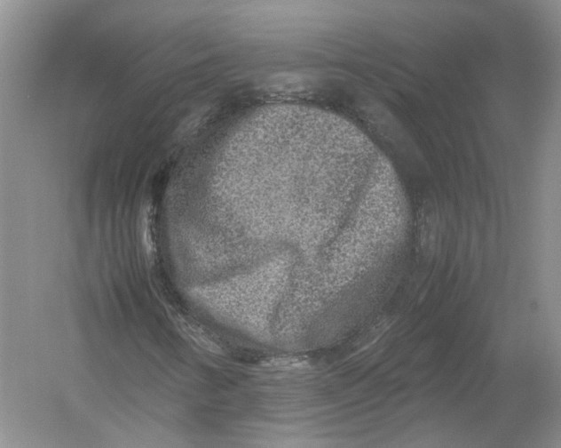 X0000054371346200508262330