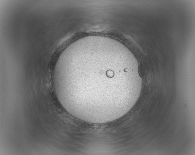 X0000054371350200508262330