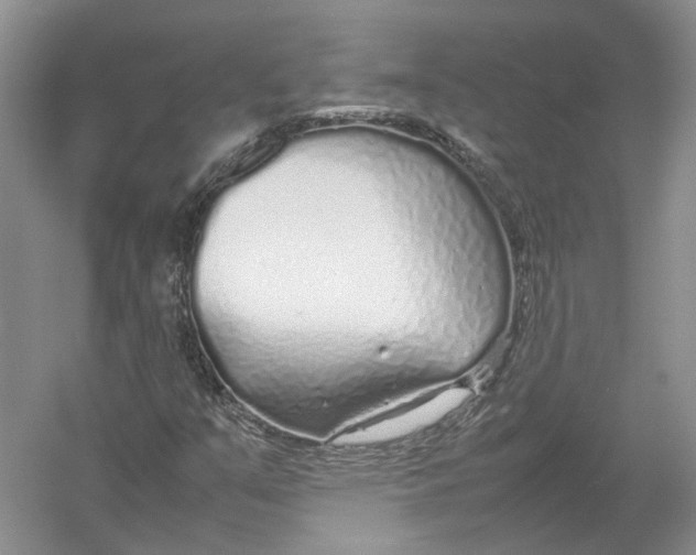 X0000054371351200508262330