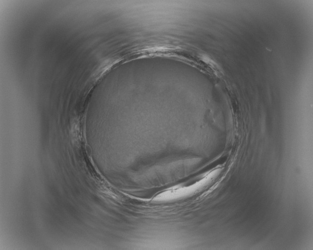 X0000054371353200508262330