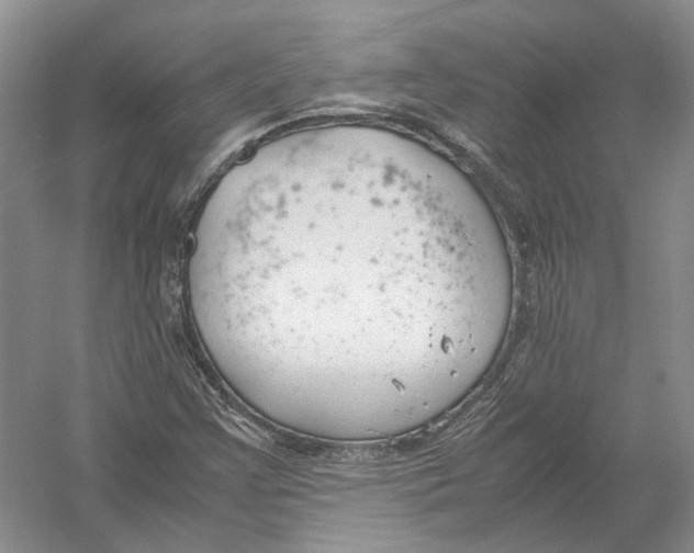 X0000054371355200508262330