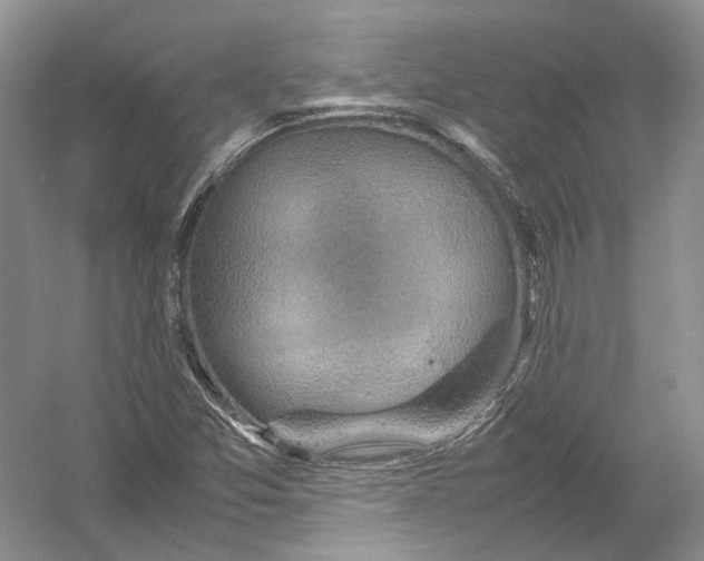 X0000054371357200508262330