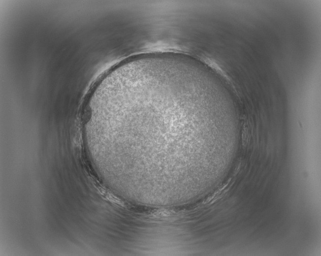 X0000054371358200508262330