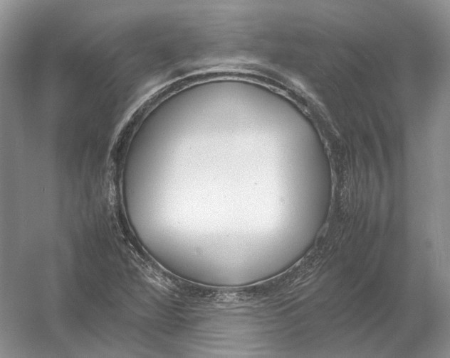 X0000054371360200508262330