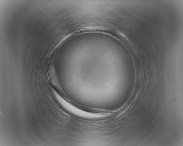 X0000054371361200508262330