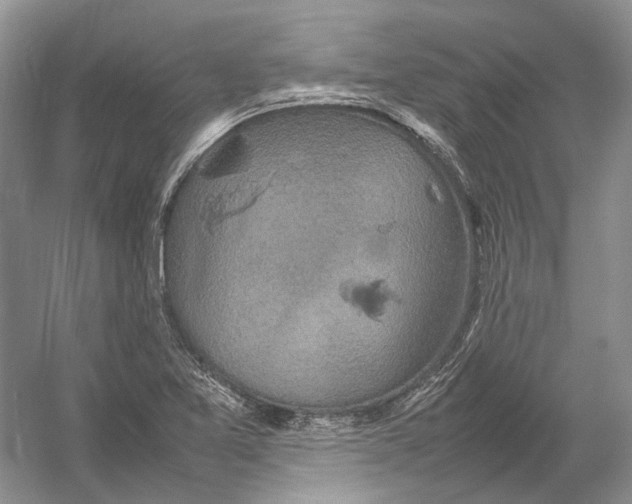 X0000054371365200508262330