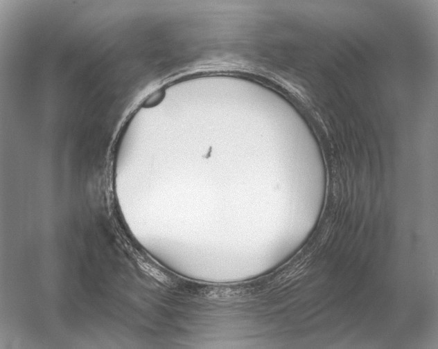 X0000054371366200508262330