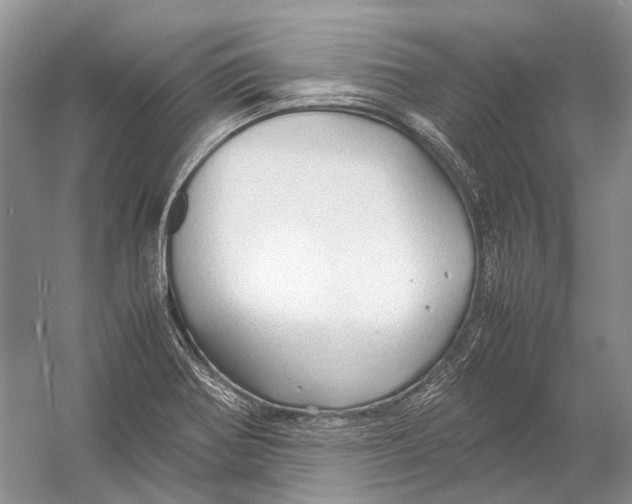 X0000054371370200508262330