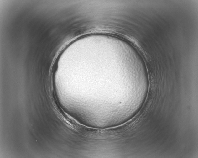 X0000054371371200508262330