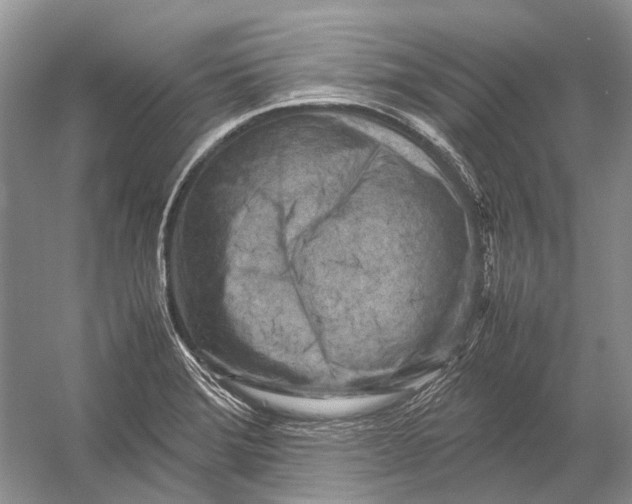 X0000054371372200508262330