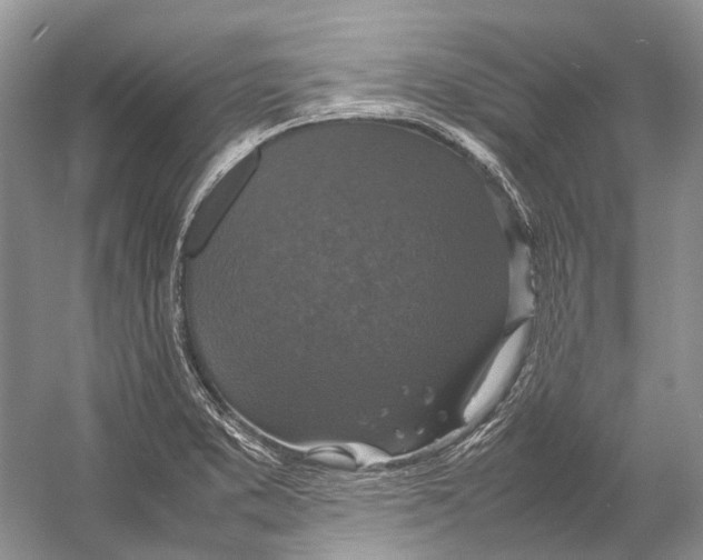 X0000054371373200508262330