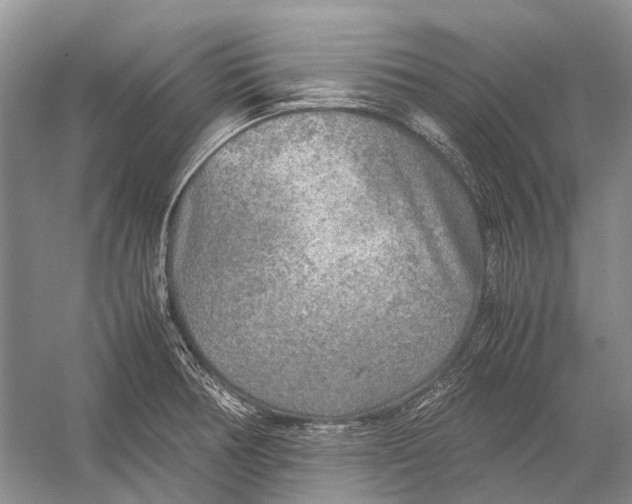 X0000054371378200508262330