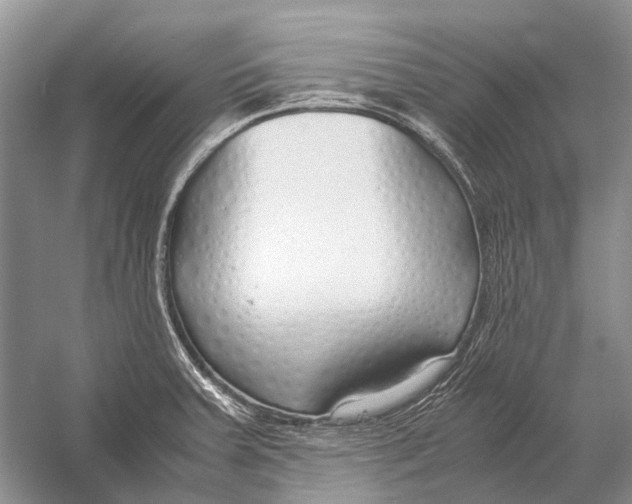 X0000054371379200508262330