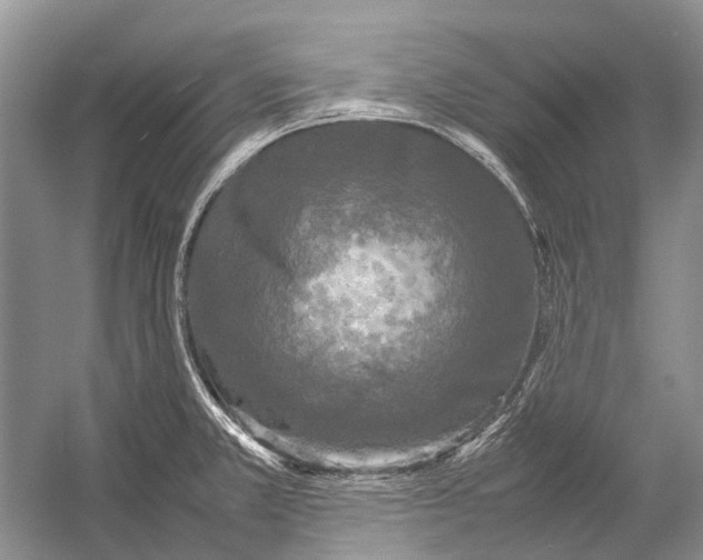 X0000054371381200508262330