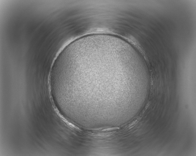 X0000054371382200508262330