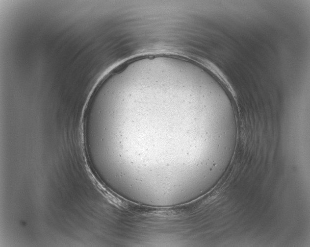 X0000054371388200508262330