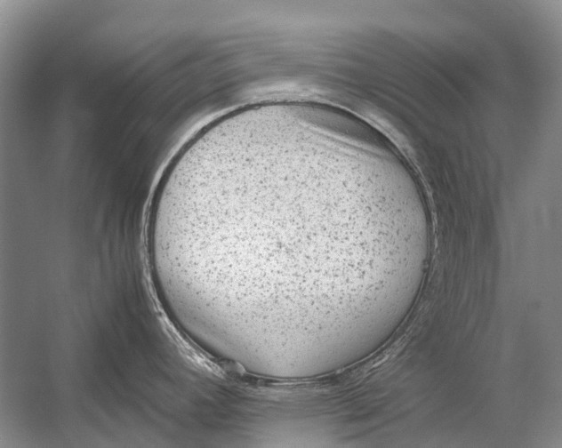 X0000054371392200508262329