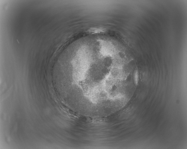 X0000054371393200508262329