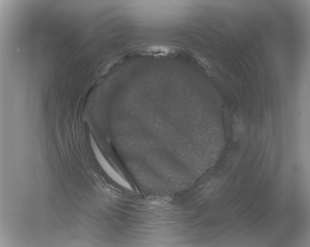 X0000054371394200508262329