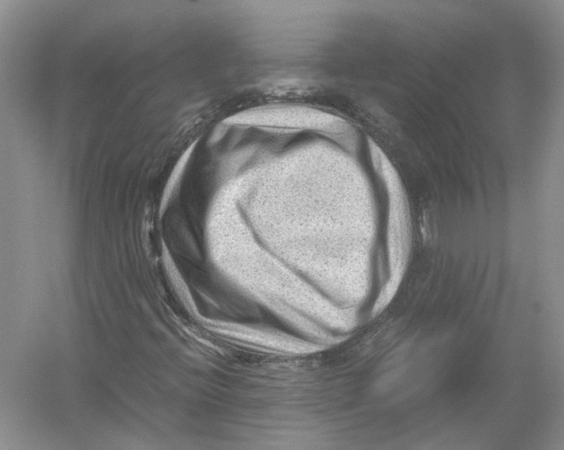 X0000054371396200508262329