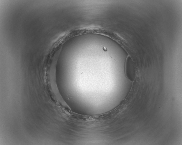 X0000054371398200508262329