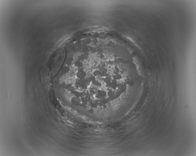 X0000054371399200508262329