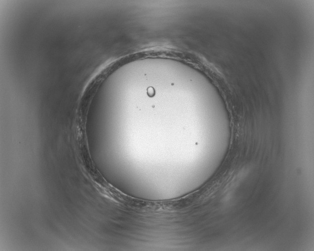 X0000054371400200508262329