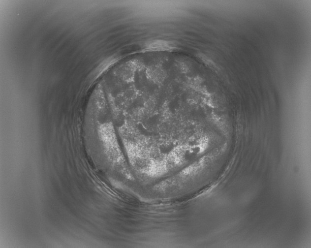 X0000054371401200508262329