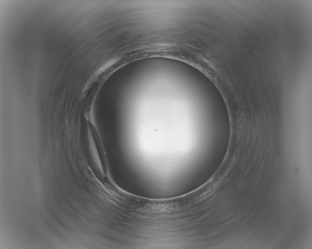 X0000054371402200508262329