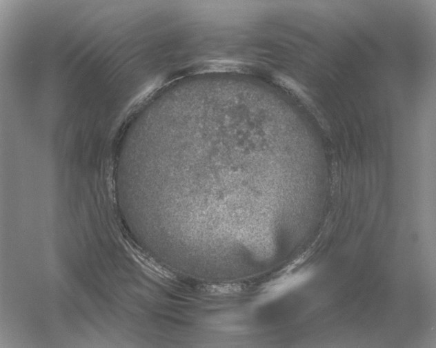 X0000054371403200508262329