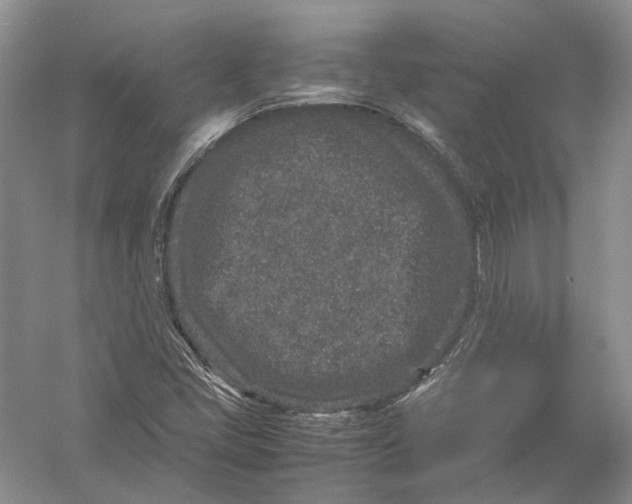 X0000054371405200508262329