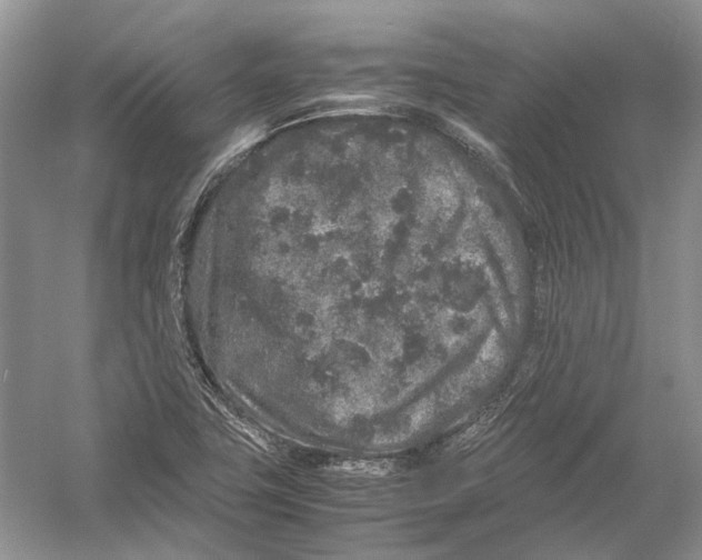 X0000054371411200508262329