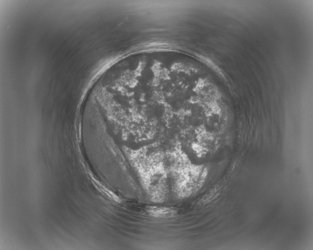 X0000054371413200508262329