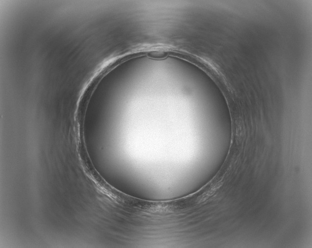 X0000054371414200508262329