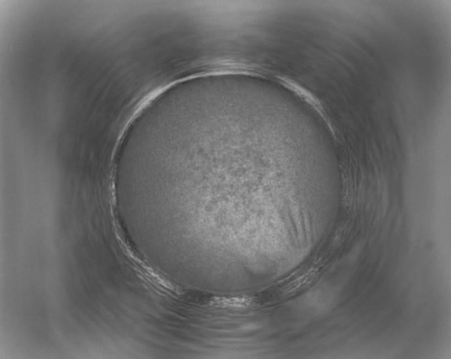 X0000054371415200508262329