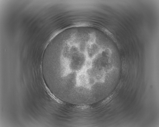 X0000054371417200508262329