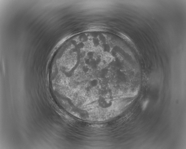 X0000054371419200508262329