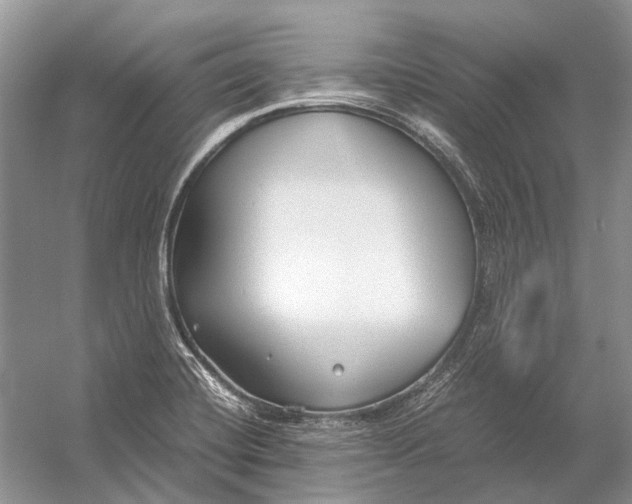 X0000054371420200508262329