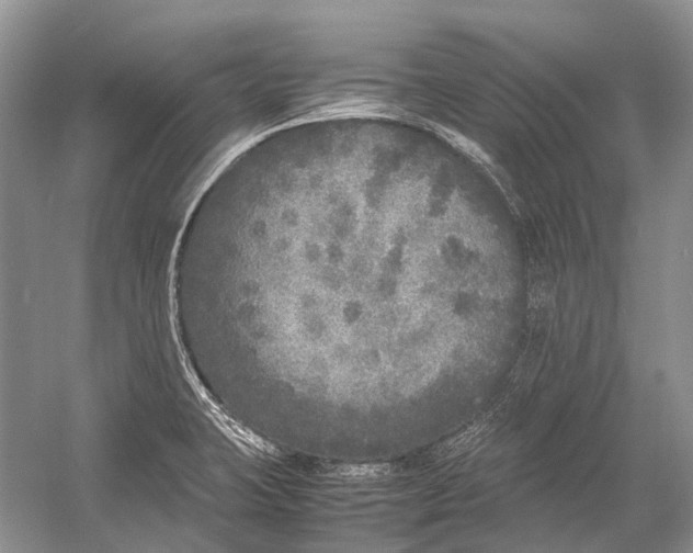 X0000054371423200508262329